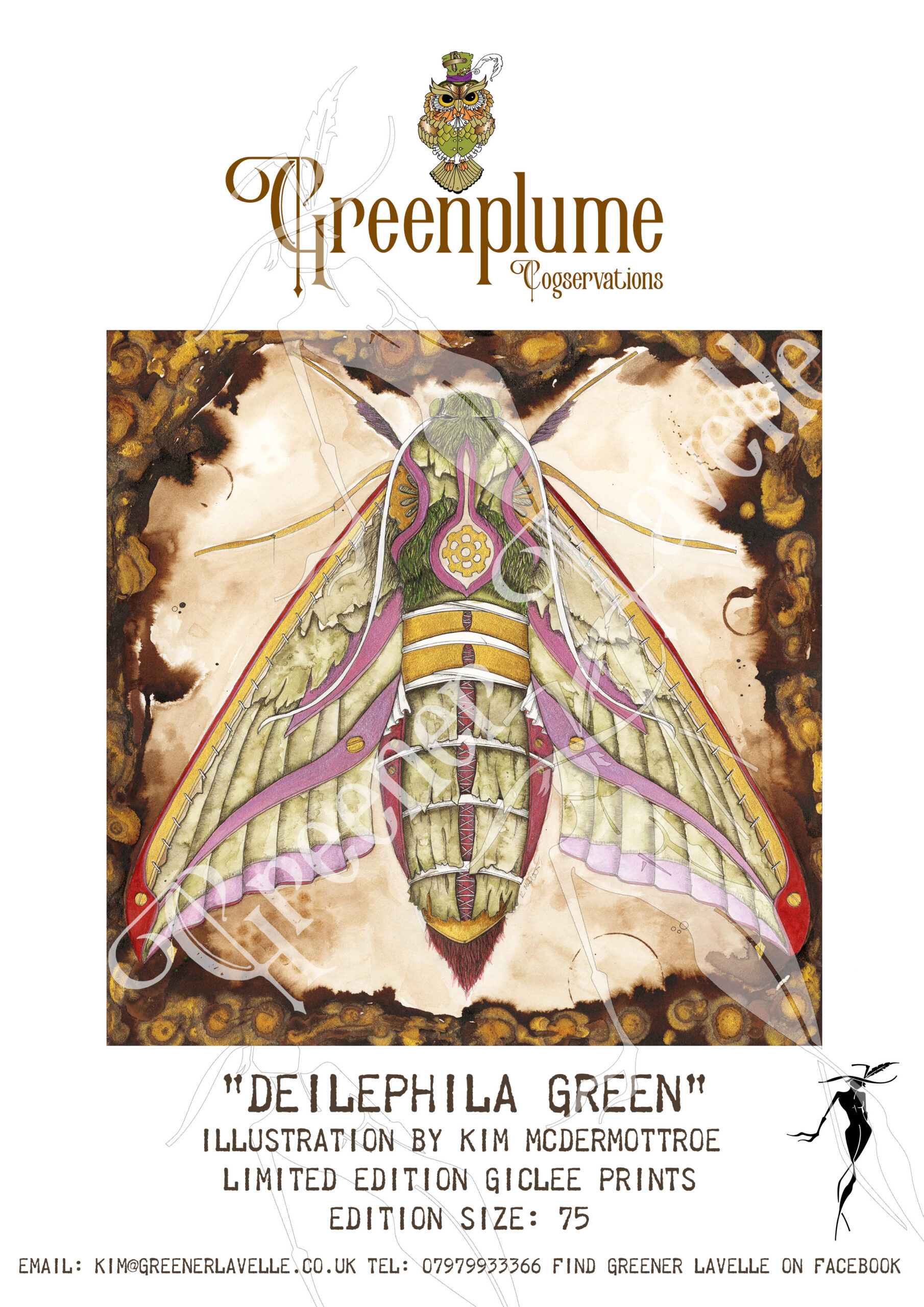 Deilephila Green