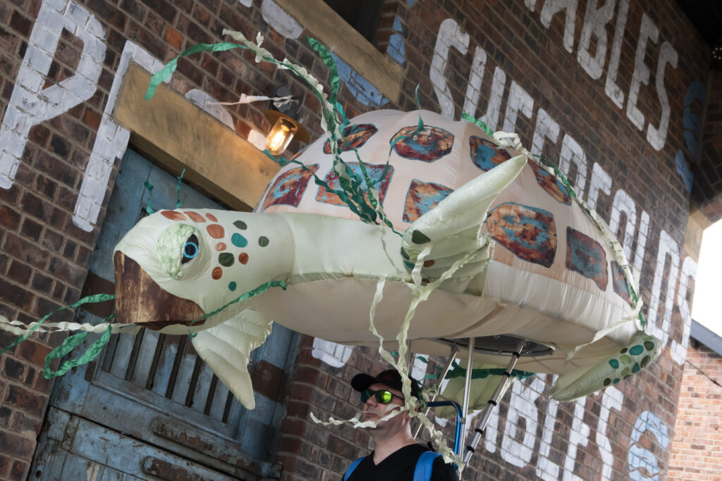 An inflatable sea turtle animal carried on a backpack above the head, outdoor at a festival